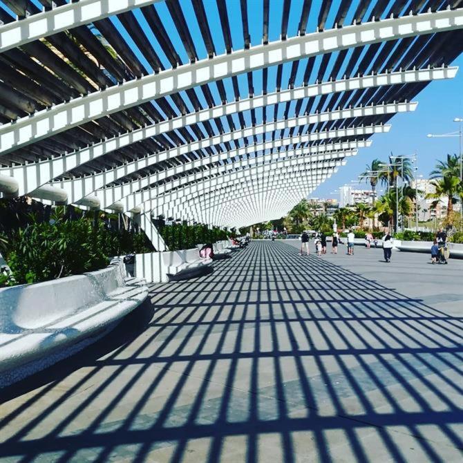 Apartament Torrevieja Experience Atico 1ª Linea Zewnętrze zdjęcie