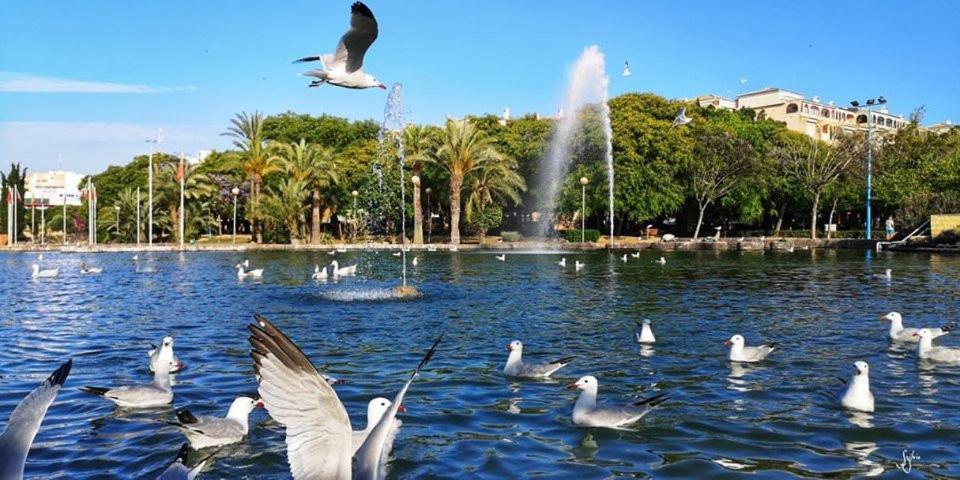 Apartament Torrevieja Experience Atico 1ª Linea Zewnętrze zdjęcie